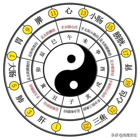 八卦爐意義|易經入門：太極、兩儀、四象、八卦是什麼意思？